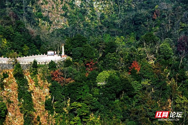 从“十八拐”到齐眉界，一条森林公园里的红色风景线