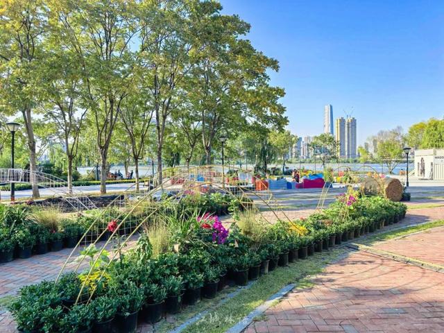 武汉官宣：11月1日，持续一个月！很多市民等了一年——