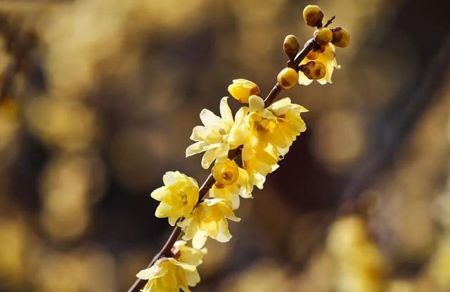 “Mei，我在连云港想开了！”