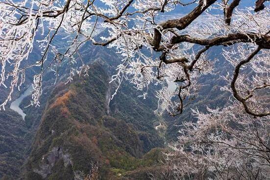 一眼心动！雾凇，山巅的“冰雪派对”