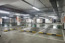 踏青季，租车热图片