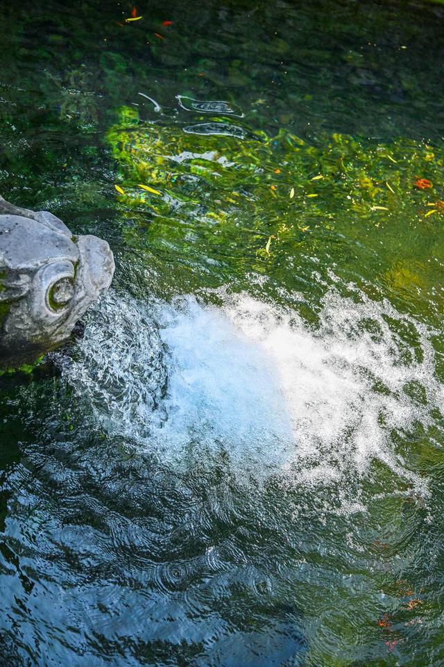 济南泉水生活：汩汩流淌的治愈与诗意，是人间最值得的温柔回响