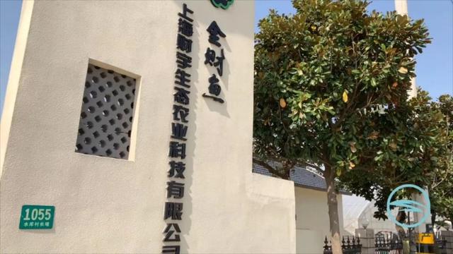 【金山旅游节】一键收藏！金山十条精品旅游线路，跟着玩准没错~