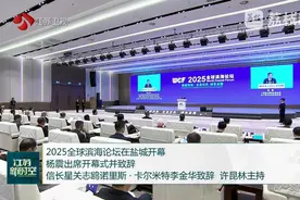 2025全球滨海论坛在盐城开幕 杨震出席开幕式并致辞 信长星关志鸥诺里斯·卡尔米特李金华致辞 许昆林主持图片