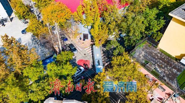 一年四季 泉在济南丨树影婆娑间，邂逅济南最温柔的秋天