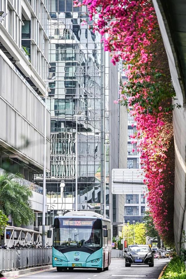 深圳知名景区紧急通知！