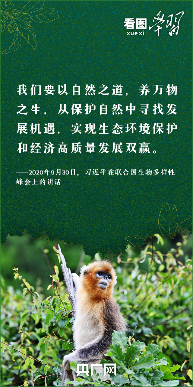 看图学习丨抓生态文明建设  总书记要求正确处理这对关系