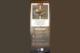 母子双双确诊，1人去世！图片