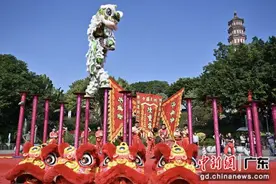 广州莲花山新春桃花文化旅游节开启图片