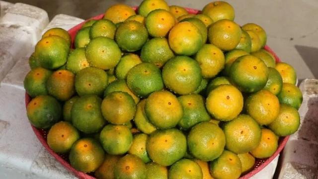 锁定奉化，山野“食”秋！这份假期觅食指南别错过→