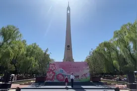 共赴一场春日之约！西安交大第三届春见樱花节启幕图片