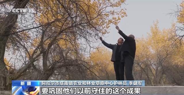 你在胡杨林下载歌载舞 他们在守护这些“沙漠英雄树”
