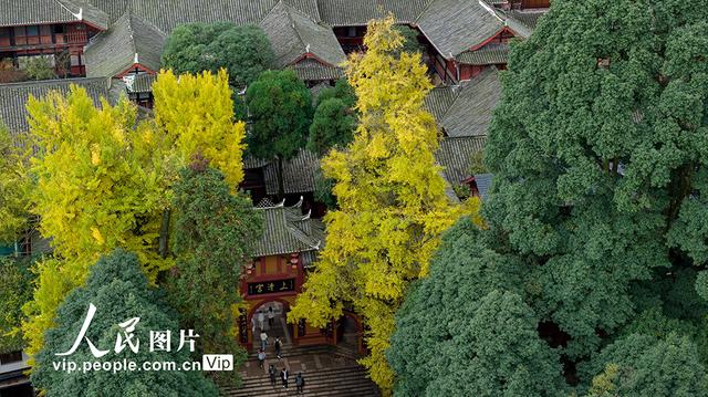 四川都江堰：青城山景区秋色美如画