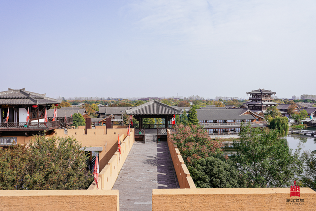 宝藏仙桃，太“鲜”啦！（采风招募）