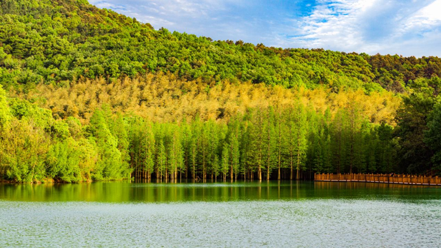 今天过节，荆州多地免票！