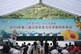 炎陵黄桃今年预计产量8.6万吨  引导“果树上山、老树退出”，优质商品果率达90%以上图片