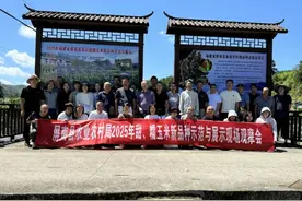 屏南县召开2025年甜糯玉米新品种示范与展示观摩、品鉴现场会图片