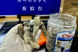 海关查获一罐生腌响尾蛇，网友懵了：啊？你再说一遍，生腌什么？图片