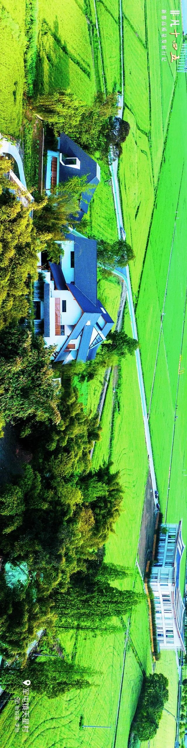 飞“阅”新都 | 一座生长在公园里的城市