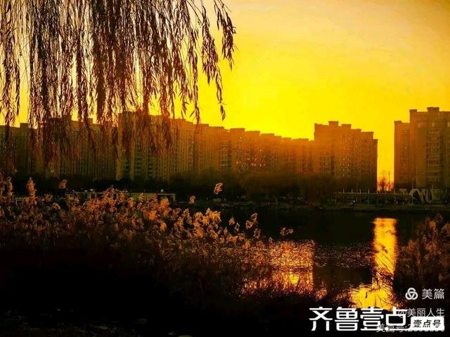 她的背影，是我一生的港湾