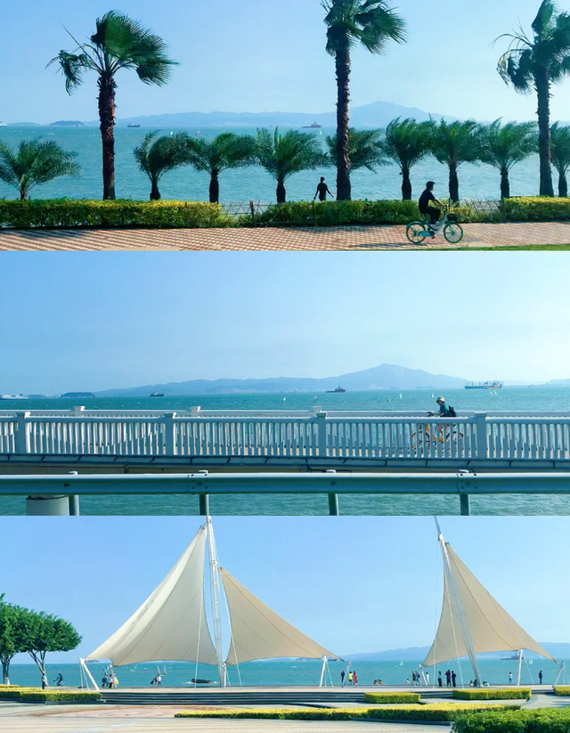 厦门哩厚！跟着影视作品游这座“海上花园”