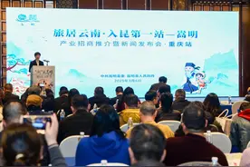 “渝”见嵩明：云南省昆明市嵩明县产业招商推介暨新闻发布会重庆站举行图片
