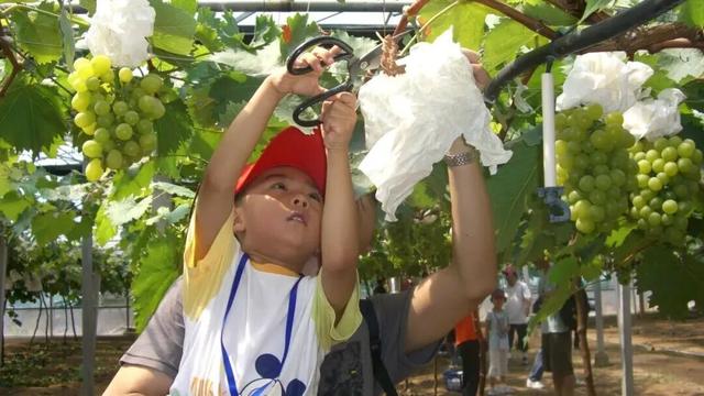 晴天持续！光明小木屋工会会员专享价！星空房车、烧烤露营、卡丁车…住宿体验官等你来→