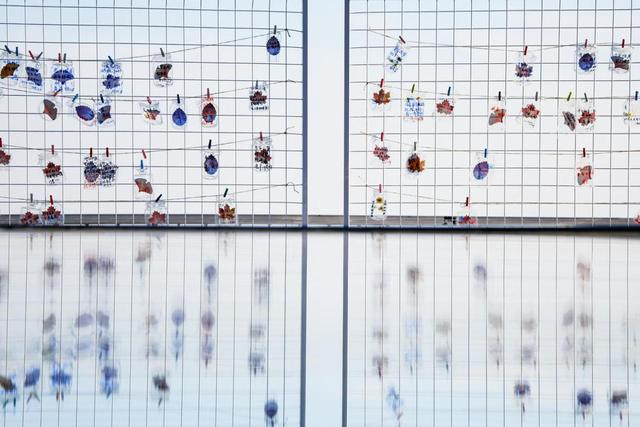 赏一山仙境 品百里金秋 2025金华山踏秋活动盛大启幕