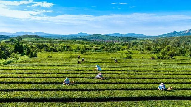 爱在日照丨带上你的心跳，10月来日照签到！
