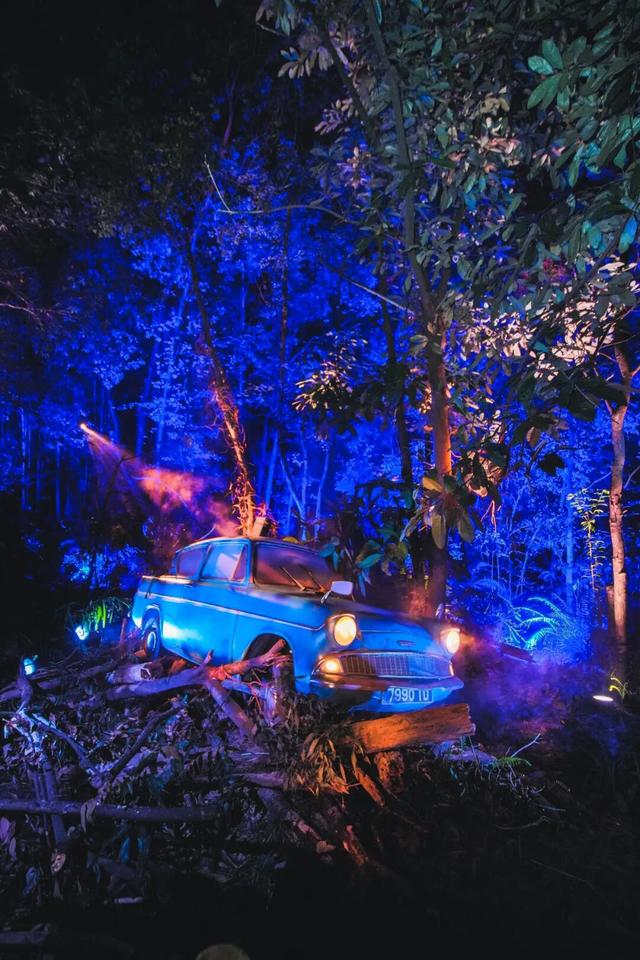 直降70元！龙华这片魔法森林焕新升级