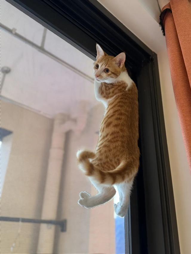 今天走了一段很长的路