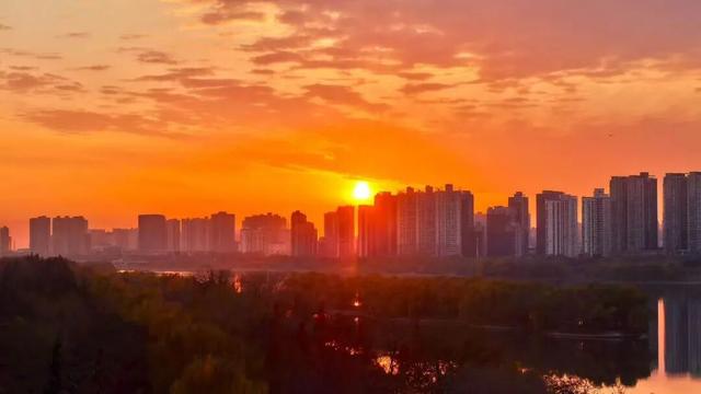 我们，如此热爱洛阳