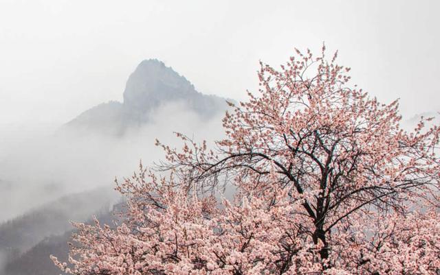 免票！河南多家景区推出“三八妇女节”福利→