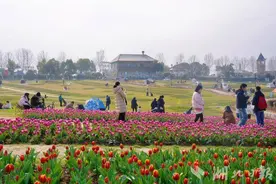 湖北赏花游渐次拉开大幕图片