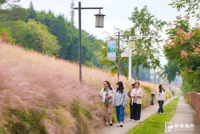 满屏粉红！福州美成童话！