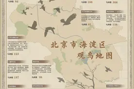 北京海淀观鸟地图发布 到21处观鸟点位邂逅鸟“明星”图片