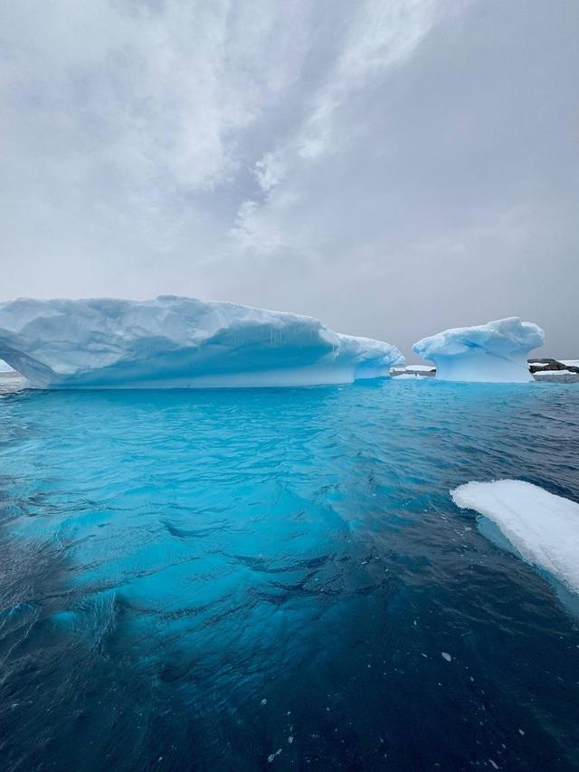 南极旅游价格被打下来了？亲历者分享5万元打卡攻略 业内：现在或是最佳“上船”机会