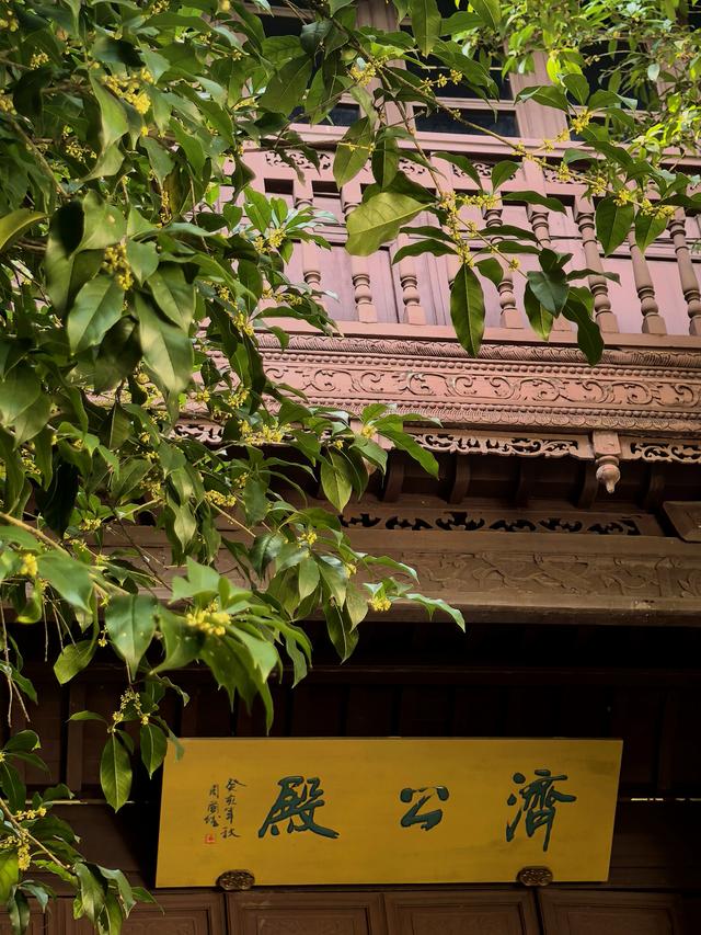 晚潮｜桂语幽境