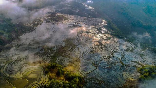 错过等明年，红河冬日“顶流”哈尼梯田上线