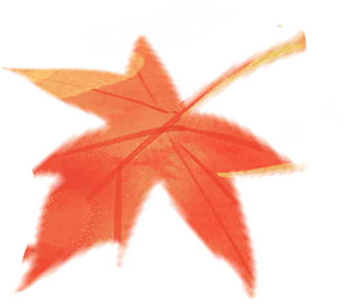 当国庆的欢歌 遇上净月的诗篇→