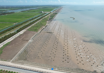 16+6，“走进申海”带你逛遍魔都海岸线