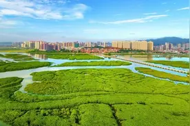 水清岸绿，滩净湾美！福建泉州洛江：推进海漂垃圾治理 擘画海湾生态图景图片