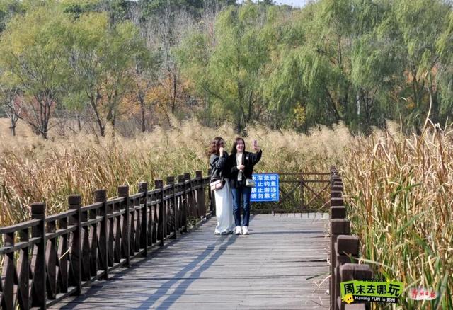 “飞雪”落中原，美了美了～