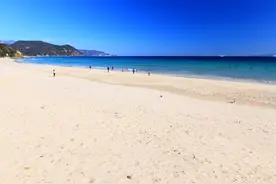中国女子日本海上漂浮36小时更多救援细节披露！有货轮施救图片