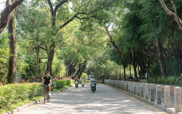 “看牛看海看夜景，深圳骑行路线精选”