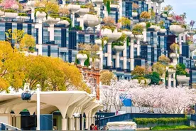 浪漫新玩法，赏樱游船专列本周五在普陀出发图片