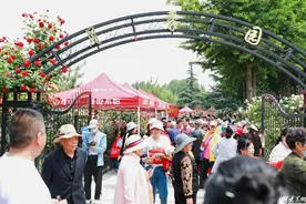 临沂书法广场月季园开园 吸引大量市民赏花拍照图片