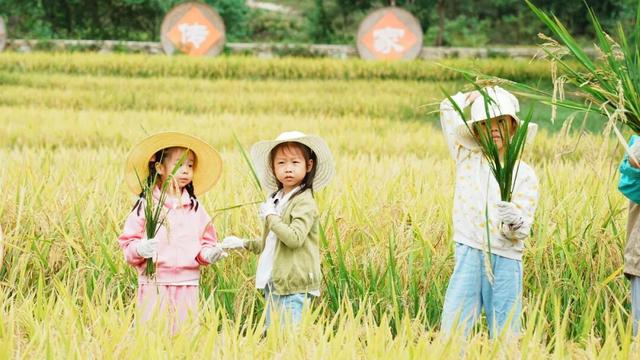 向北1h，武汉宝藏古村，已进入黄金时段！