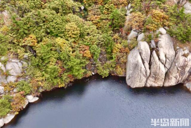 十余只鸳鸯“做客”崂山龙潭水库 深秋生态画卷添灵动生机