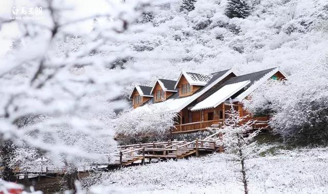 青睐绵阳 ‖ 彩林未尽,大雪已至!初冬的平武美成水墨画卷~